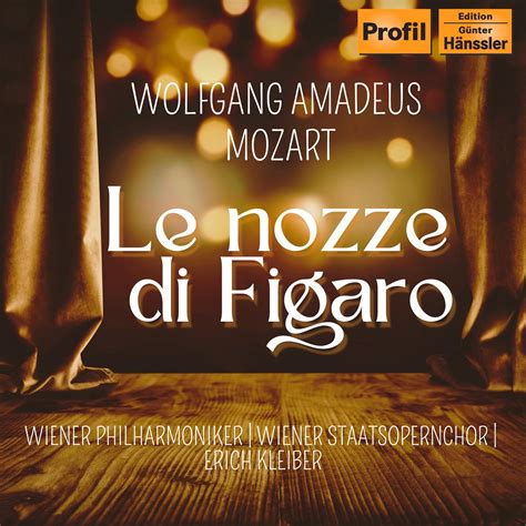 Le Nozze di Figaro, ธีรื่องแห่งความรักและความสับสน